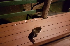 20171229_222753