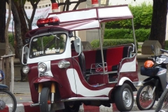 P1000463 (2)