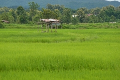 P1010610